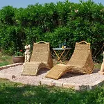 Leone Reale Cecina (Livorno)